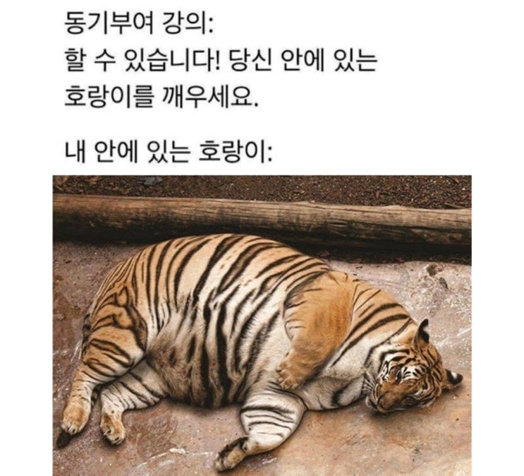 주제 없는 짤털과 주절거림