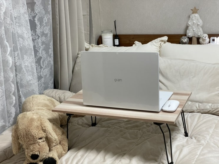  내돈내산 노트북,LG그램 17인치