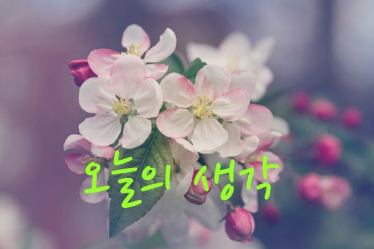  [오늘의 생각] 무엇이 떠오르나요?