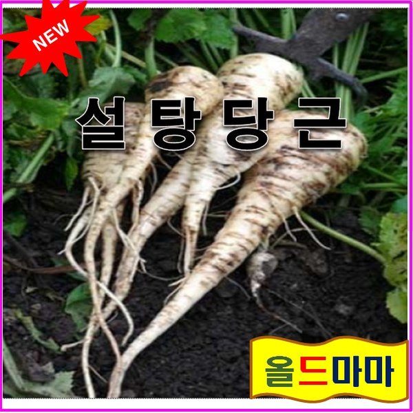 인기 많은 희귀씨앗>파스닙 (30립) (설탕당근) ··· 인기 많은 희귀씨앗>파스닙 (30립) (설탕당근) ···