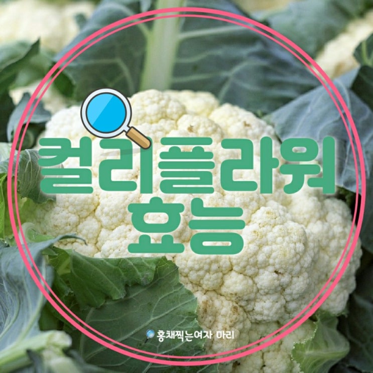  위암 초기증상? 컬리플라워 자주드시고 미리 예방하세요!