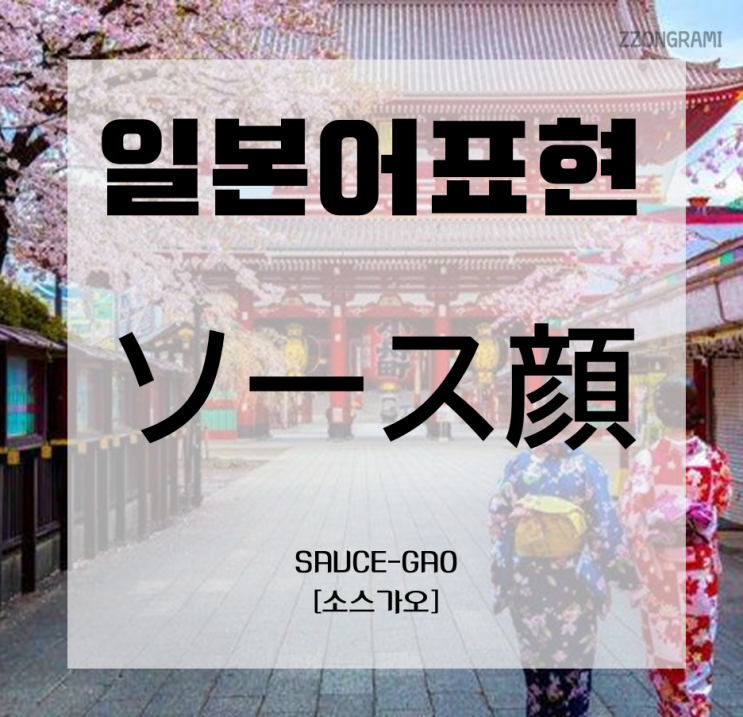  [일본어 공부] 일본어 표현 : 조미료로 구분한 얼굴(顔) 표현③ 「ソース顔」