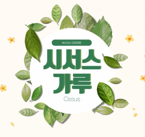  시서스 가루 캐나다 건강 챙김 복용법의 모든 것