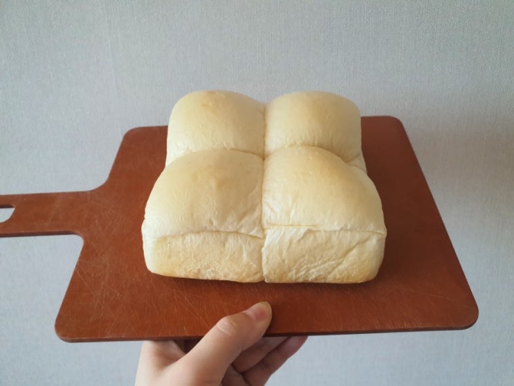 뚜레쥬르 신제품 순진우유빵 보드라워:)