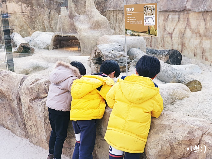  전주 아이와 가볼만한 곳 : 전주동물원, 입장료, 운영시간, 전주가볼만한곳 [전주여행]