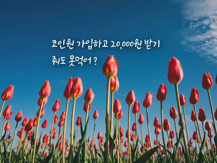 코인원 신규가입 2만원 현금 이벤트. 리워드로로 비트코인, 이더리움, 클레이튼 사기