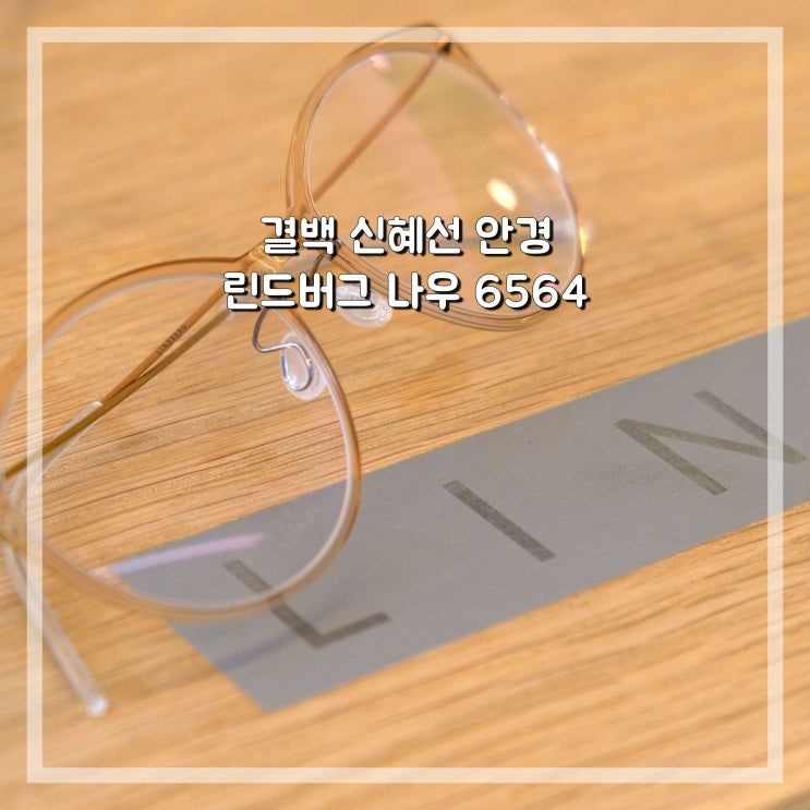  린드버그 나우 6564 결백 신혜선 안경