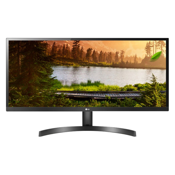  LG전자 73cm WFHD 울트라 와이드 모니터, 29WL500