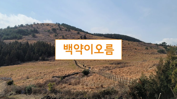  제주 백약이오름, 낮아서 올라가기 좋은 오름