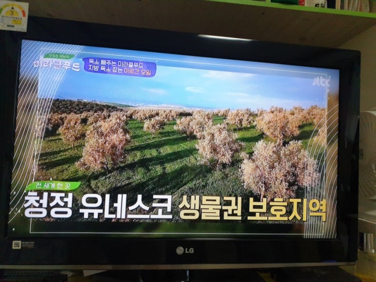  미라클푸드 독소배출 아르간오일