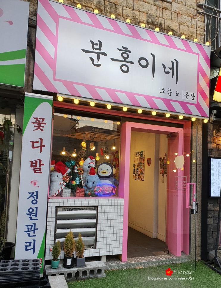 부산 광안리 소품샵 다양한 볼거리가 가득한 분홍이네 쇼핑 구매욕구 뿜뿜 부산 광안리 소품샵 다양한 볼거리가 가득한 분홍이네 쇼핑 구매욕구 뿜뿜