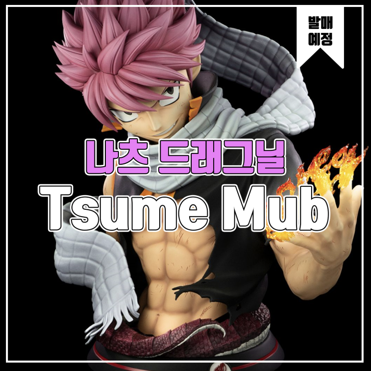  [소식] Tsume 페어리테일 - 나츠 드래그닐