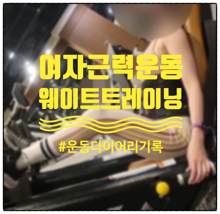 여자근력운동 웨이트 운동다이어리 영상,움짤(0220) 내돈내운동