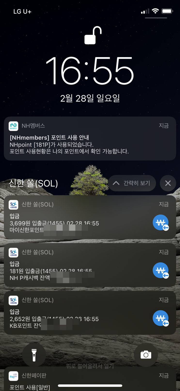 여신금융협회 카드포인트 통합조회 방법과 포인트 계좌입금 후기! 여신금융협회 카드포인트 통합조회 방법과 포인트 계좌입금 후기!