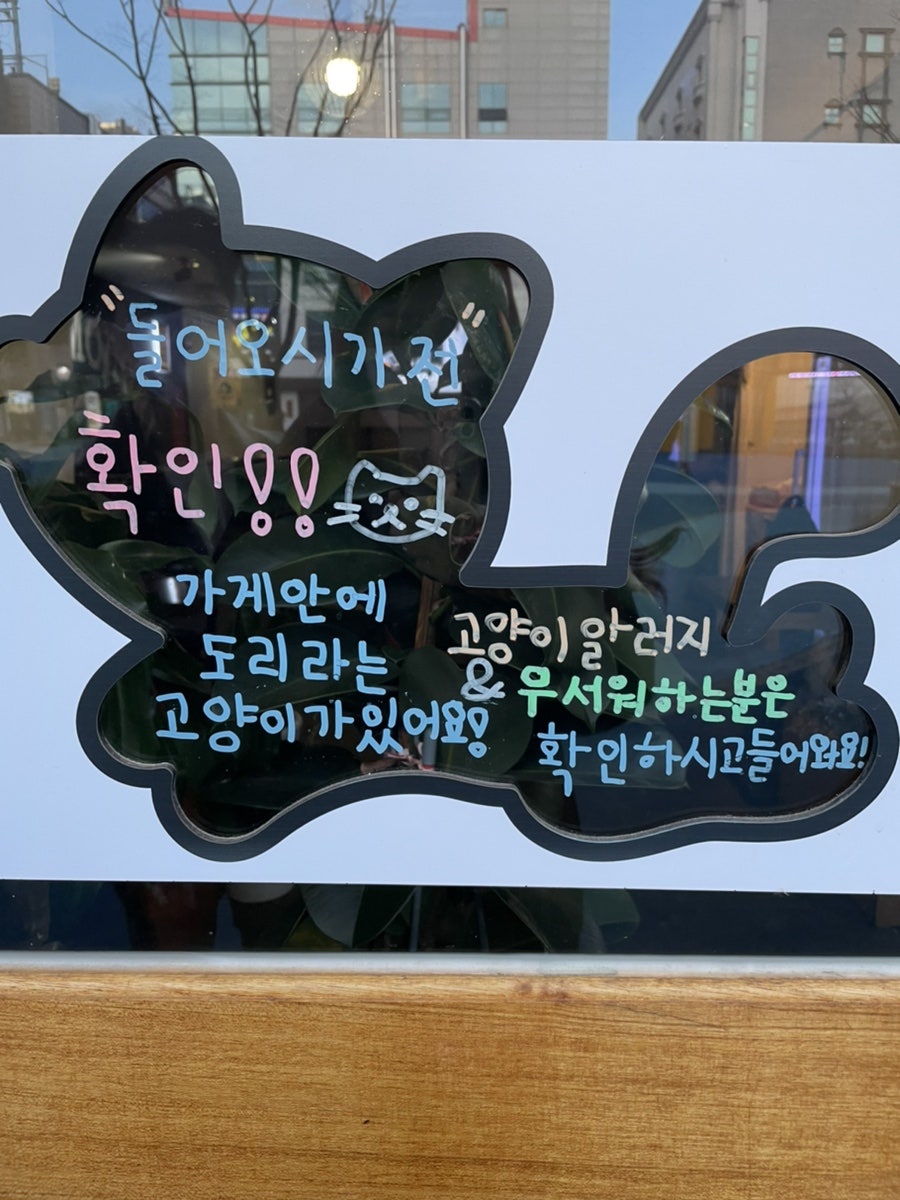 막작모도리 사진 3