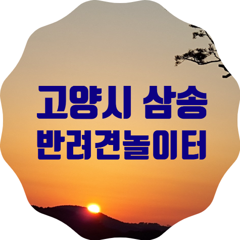  고양 삼송 덕수근린공원 반려견놀이터 임시 개장