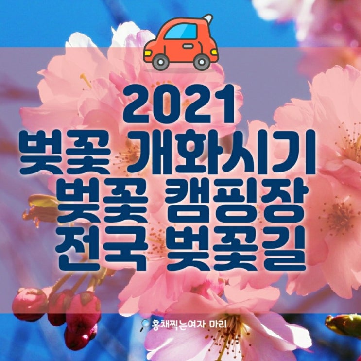 2021 벚꽃 개화시기/만개시기/ 벚꽃 캠핑장/전국명소 탐방!
