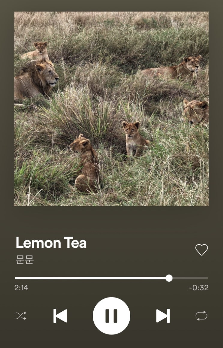  문문