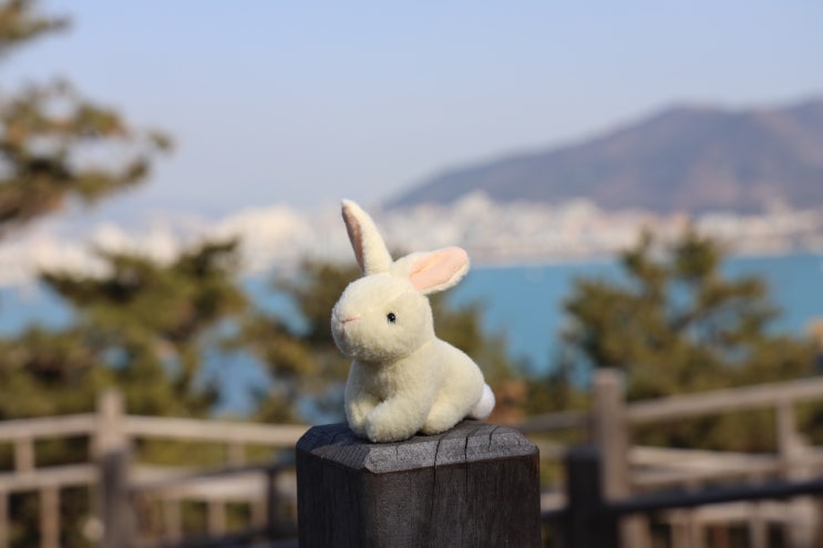  [부산 송도 암남공원] 부산 송도 가 볼 만한 곳 (3)