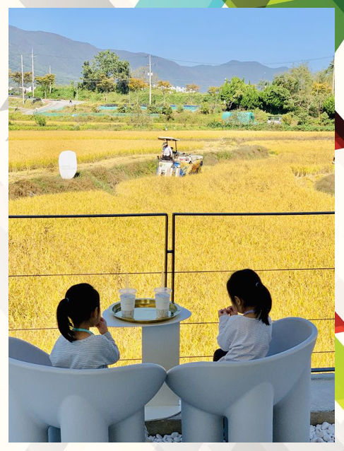  논밭뷰 카페에서 라떼 한잔 ?