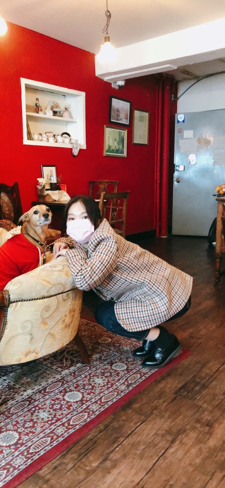  [카페] 을지로루이스 와인바 CAFE + 댕댕이가 있다!!! 