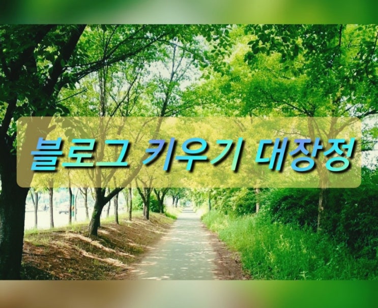  초보자의 블로그키우기 발판의 시작