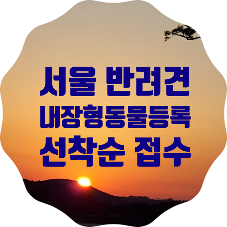  서울시, 반려견 <내장형 동물등록> 지원사업 소개. 선착순으로 신청받아요