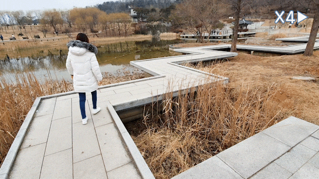 북서울꿈의숲 연못 월영지 커플데이트코스 북서울꿈의숲 연못 월영지 커플데이트코스