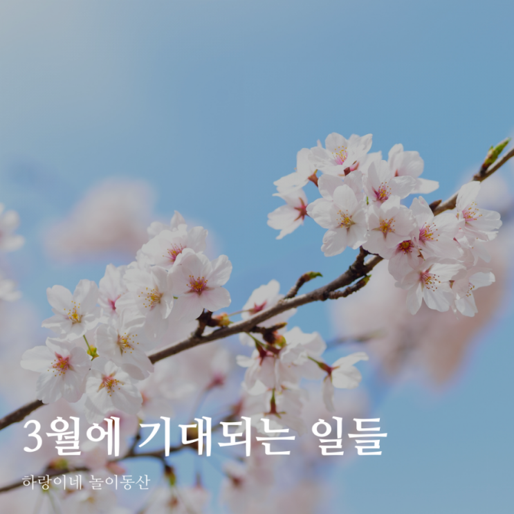  엄마가 된 후로 시간 순삭, 3월에 기대되는 일