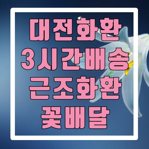  대전화환 3시간배송 근조화환 꽃배달