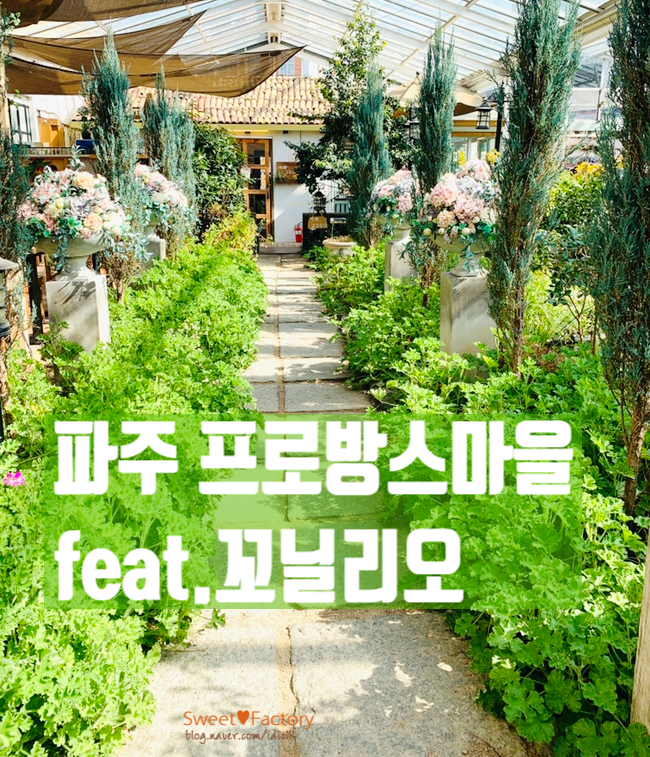  파주 프로방스 마을 포토존 가득 꼬닐리오 베이커리카페