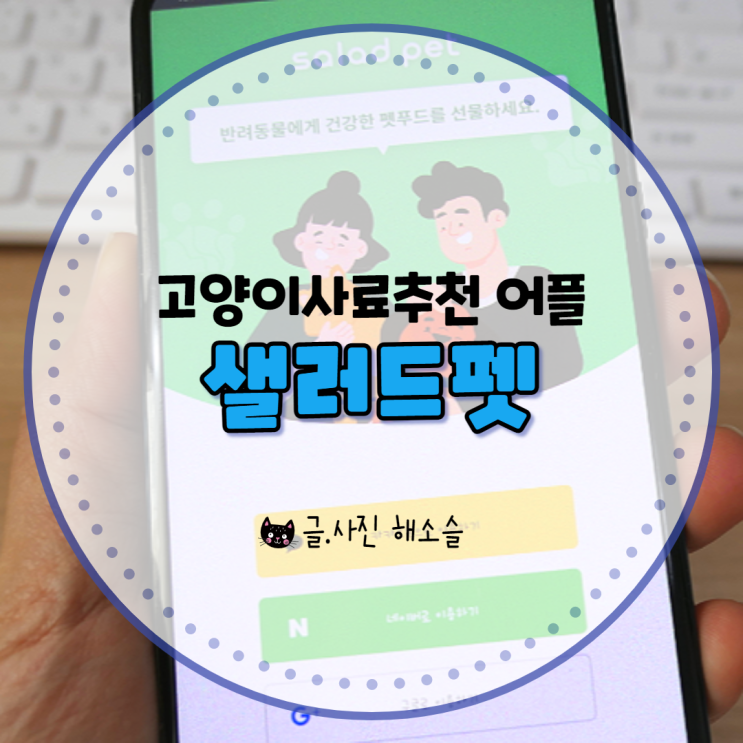  고양이사료추천은 수의사가 만든 샐러드펫 어플로 확인하세요