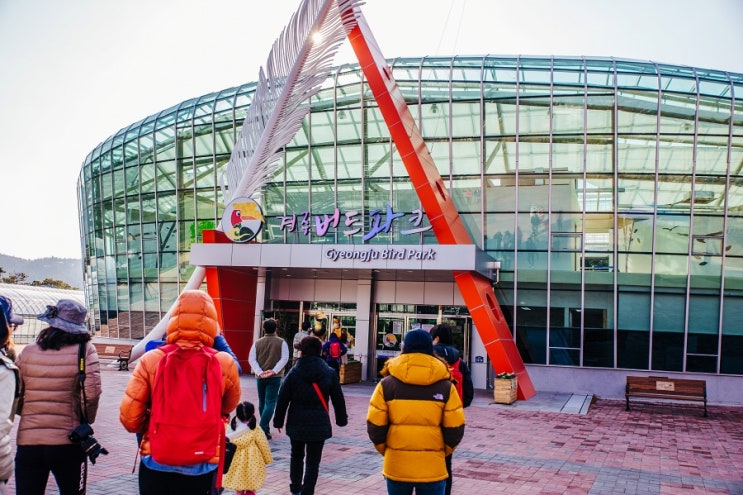 경주 가볼만한곳 버드파크 입장권 할인받아 구매하기 경주 가볼만한곳 버드파크 입장권 할인받아 구매하기