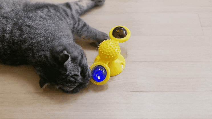  파인드스토리 움직이는 고양이 장난감, 분리불안에 도움되는 LED볼