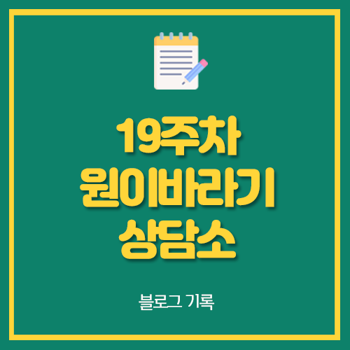  19주차 원이바라기 상담소