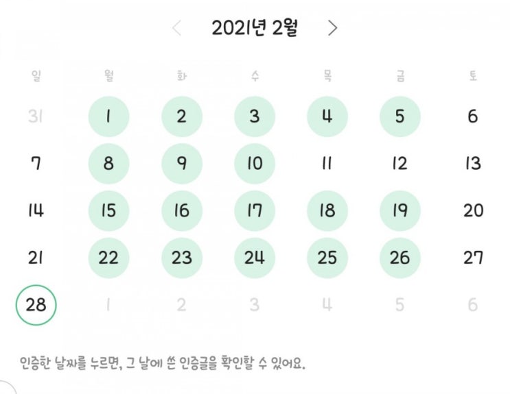  [2월] 2021년 2월 결산/ 3월 계획 (ft. 언어(영어) 공부법 책 추천)