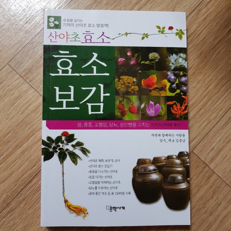  아들아 너는 생각이 다 있었구나?!(책 구입)