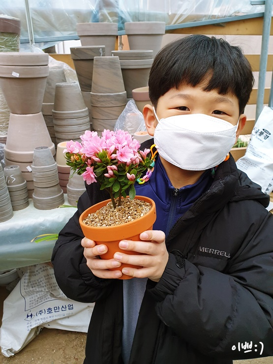  반려식물 다육이, 선인장, 꽃  사왔어요