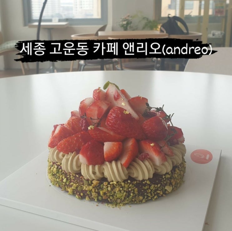  세종 고운동 카페, 케익맛집 앤리오(andreo) : 딸기피스타치오타르트, 마들렌, 휘낭시에 등 구움과자 맛집