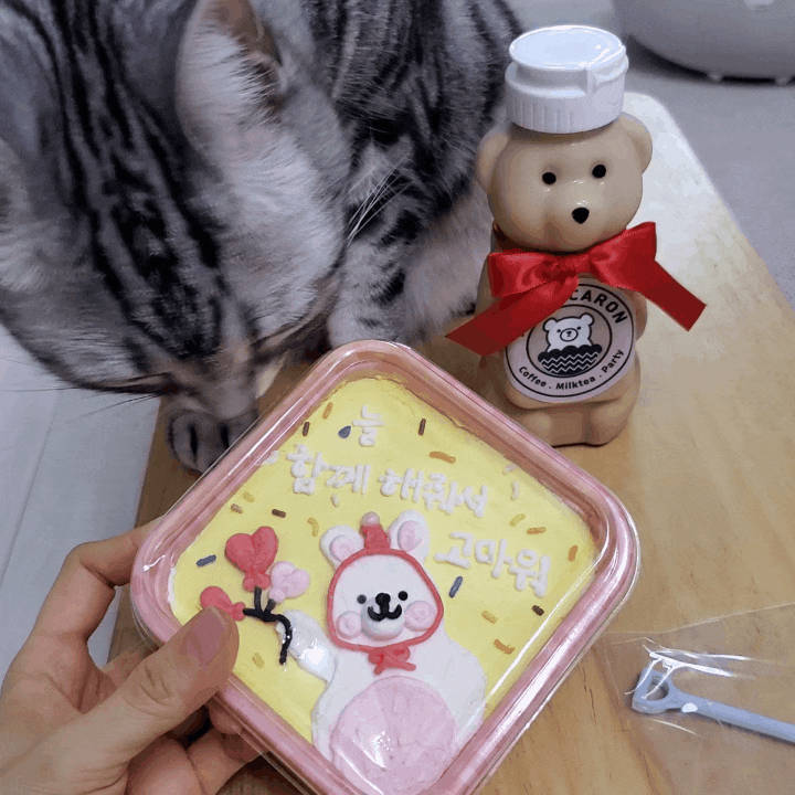 영통마카롱 미스터마카롱카페 레터링도시락케이크 귀여워요 영통마카롱 미스터마카롱카페 레터링도시락케이크 귀여워요