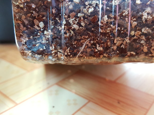 원예용 상토의 재료 알아보기 - 질석 (vermiculite, 버미큘라이트) : 네이버 블로그