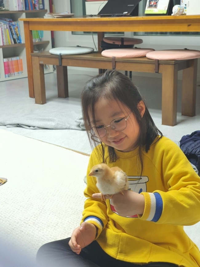  집에서 병아리 키우기 11일째입니다  성장속도가 장난이 아니네요 ㅎ
