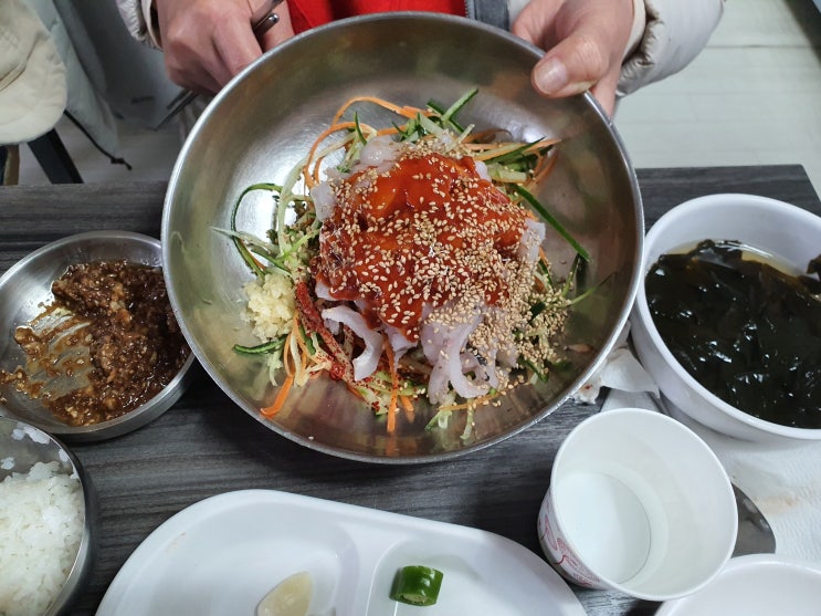  속초 여행 필수코스 물회 맛있는 곳 송도물회