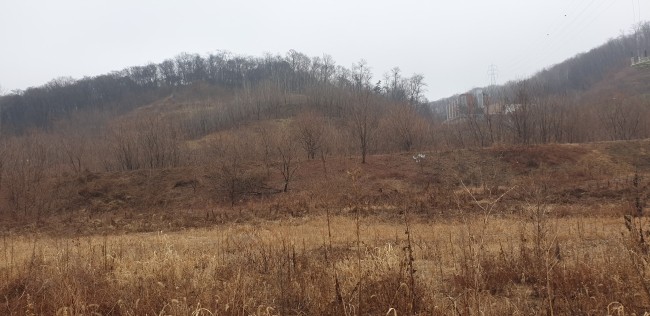  대토보상_LH의 입장