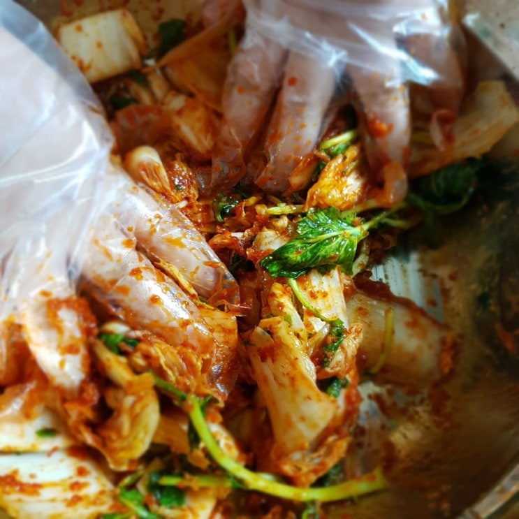  배추 겉절이 만들기