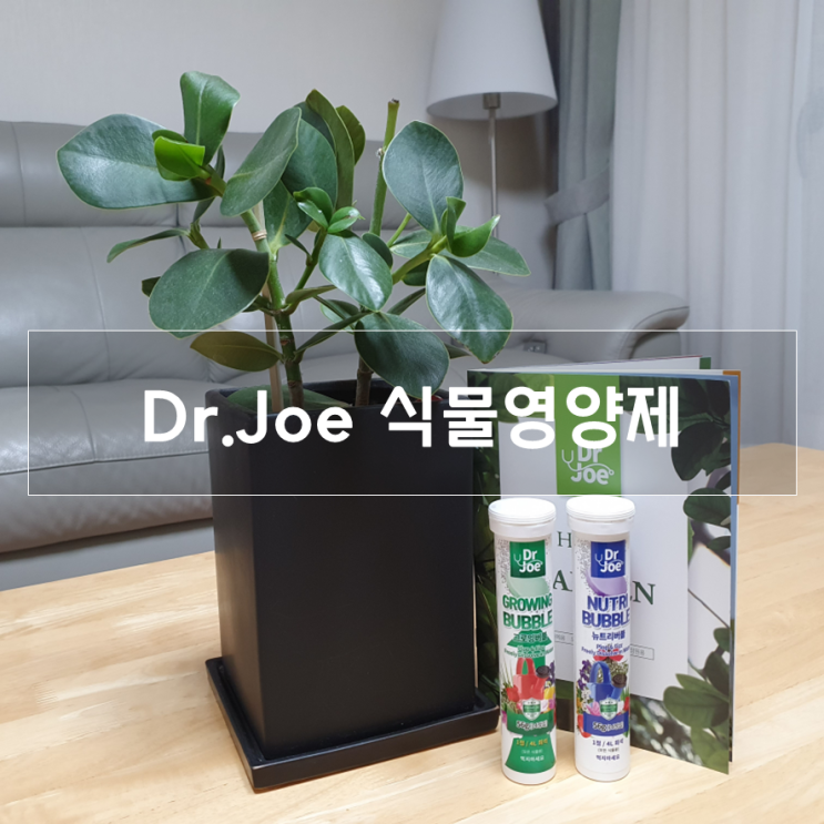  프리미엄 식물영양제, 닥터조 그로잉버블&뉴트리버블