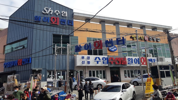  진해용원어시장 수협활어회센터 중매인 58번