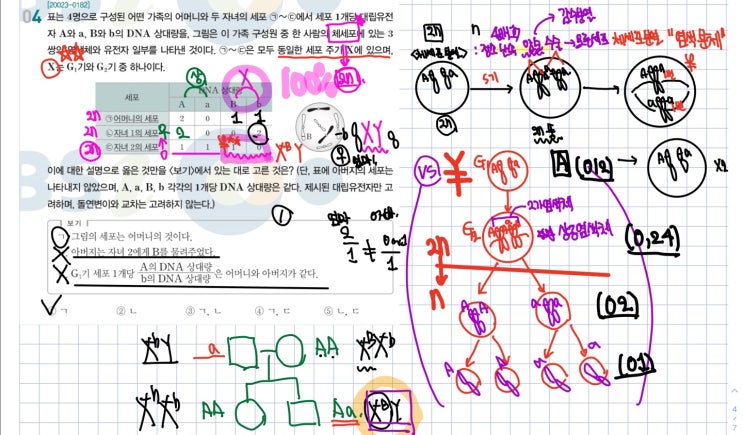 [의대출신 과학과외] 대구 과학 전문 과외, 높은 의대 진학률의 경스터디 수업 스타일은?