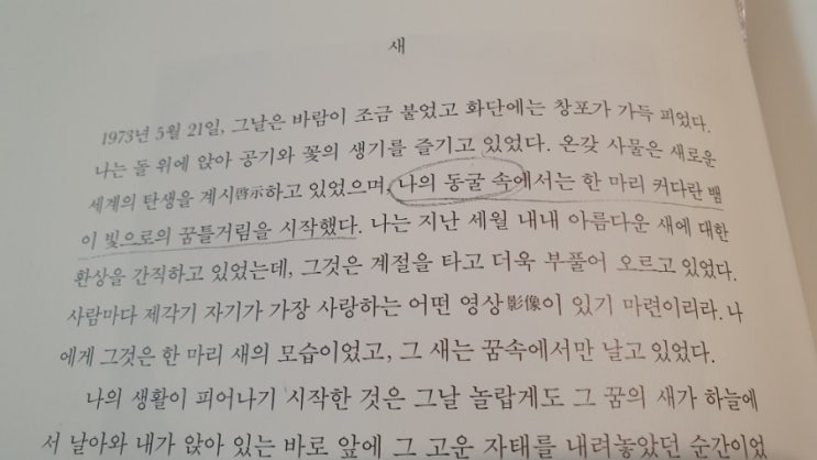  아이의 동굴