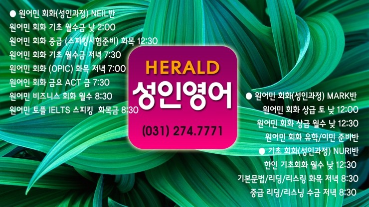   KOREA HERALD 2021년 봄학기 성인영어_원어민회화, 토익, 기초영어